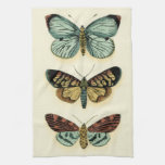 Butterfly Collection by Chariklia Zarris Towel