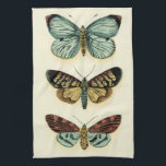 Butterfly Collection by Chariklia Zarris Towel<br><div class="desc">This painting by Chariklia Zarris is a lepidopterists' dream! An amazingly detailed print of a butterfly collection,  this piece is stunning in its use of color. Get your copy today!</div>
