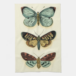 Butterfly Collection by Chariklia Zarris Towel