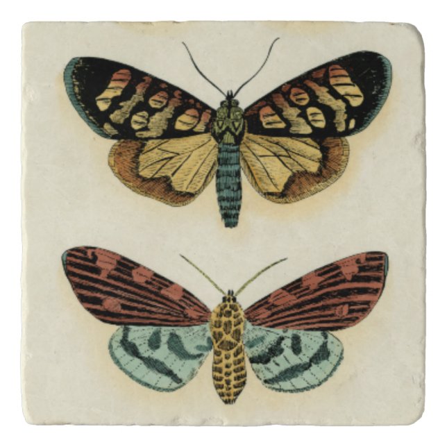 Butterfly Collection by Chariklia Zarris Trivet (Front)