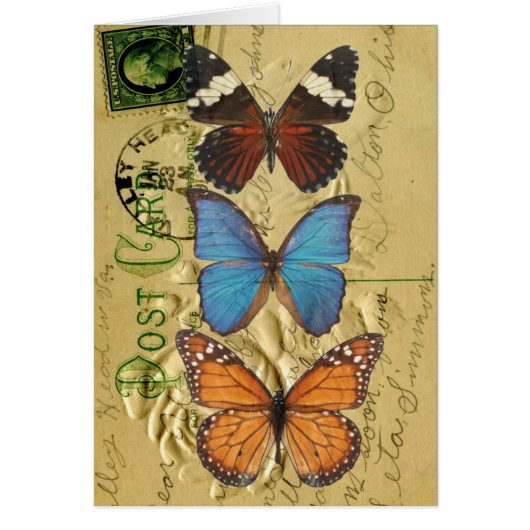 Butterfly collection cards (Front)