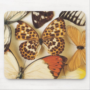 Butterfly collection mouse pad