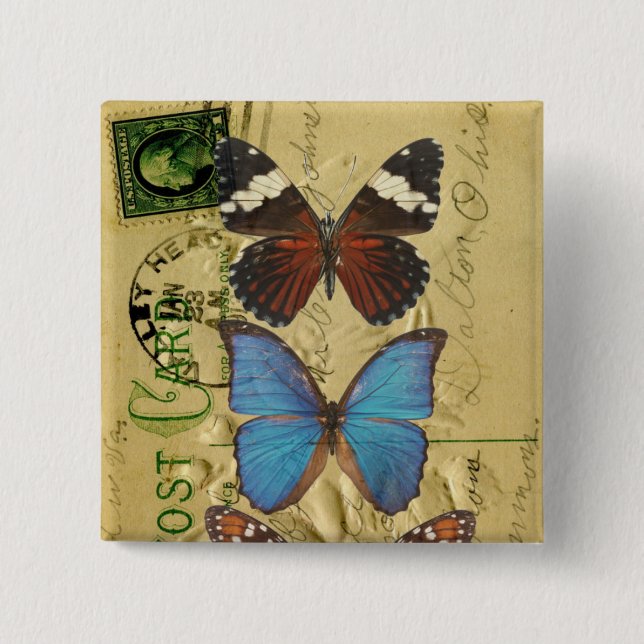 Butterfly collection pinback button (Front)