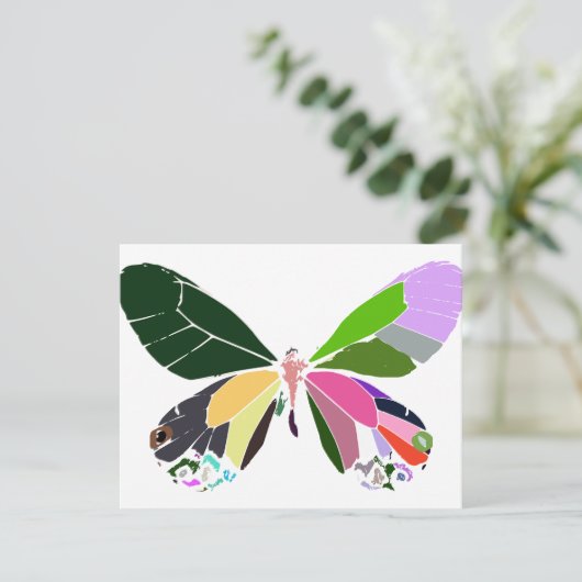 butterfly colors (Standing Front)