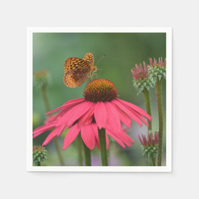 Butterfly Coneflower Paper Napkins (Front)