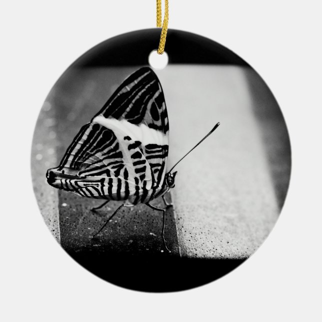 butterfly crossing ceramic ornament (Front)