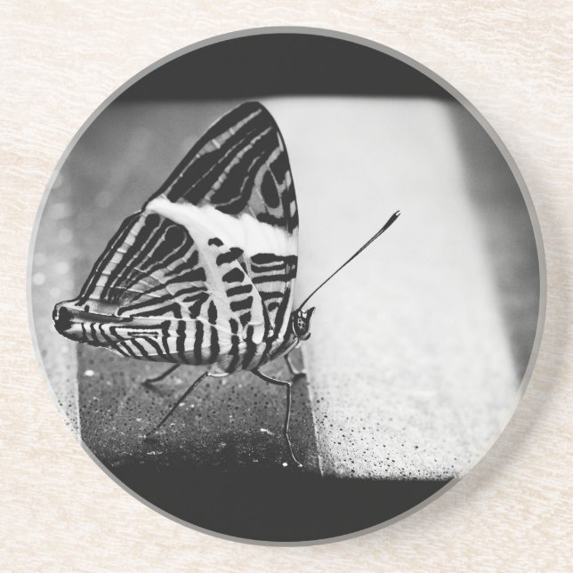 butterfly crossing drink coaster (Front)