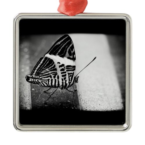 butterfly crossing metal ornament