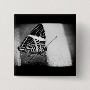 butterfly crossing pinback button