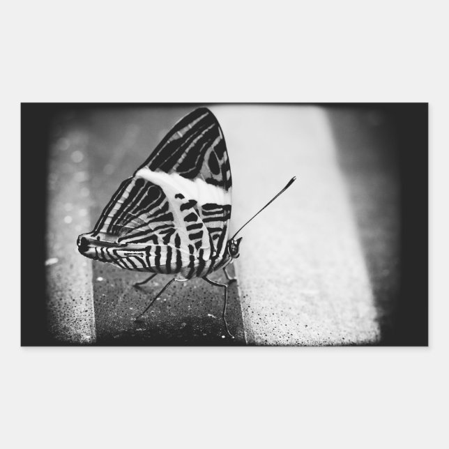 butterfly crossing rectangular sticker (Front)