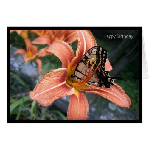 Butterfly daylily all occasion birthday card