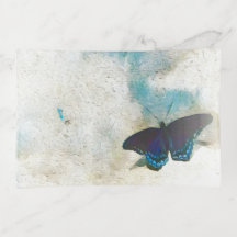 Butterfly digital painting