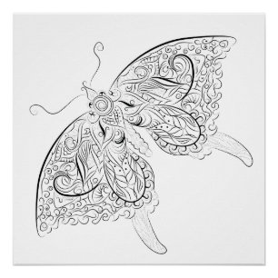 butterfly drawing adult coloring poster