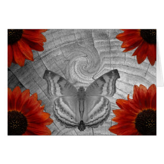 Butterfly Dream Cards