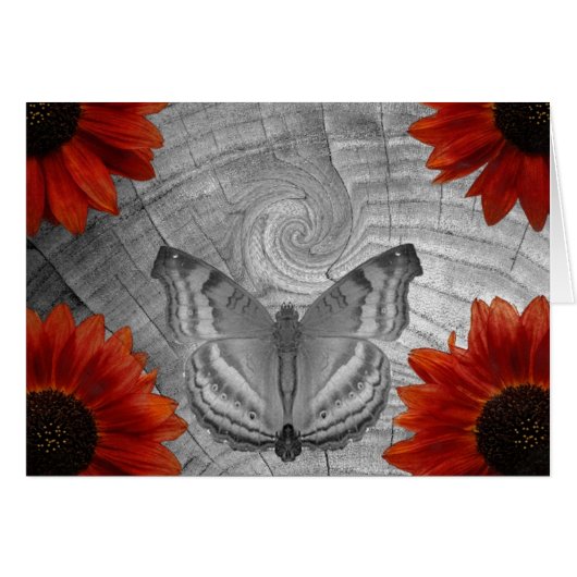 Butterfly Dream Cards (Front Horizontal)
