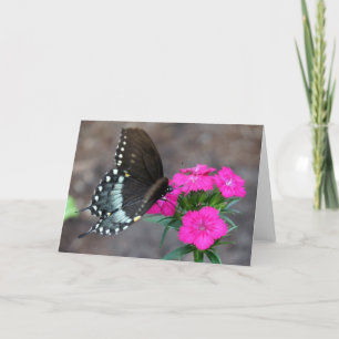 Butterfly Dreaming Card