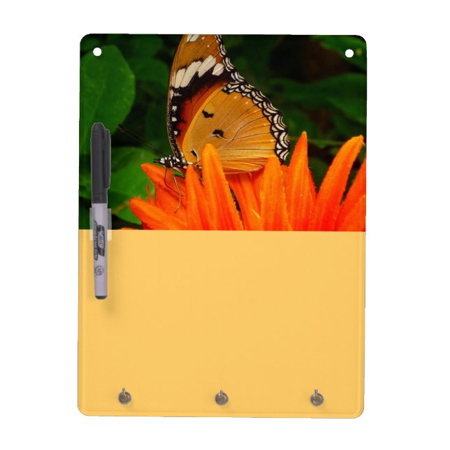 Butterfly Dry Erase Board (Front)