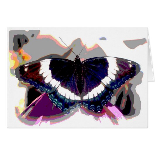 Butterfly Effect Cards (Front Horizontal)