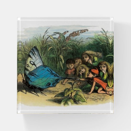 Butterfly Elf Artwork Cute Elves Butterflies Paperweight