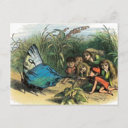 Butterfly Elf Artwork Cute Elves Butterflies Postcard