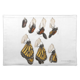 Butterfly emerging from coccoon cloth placemat