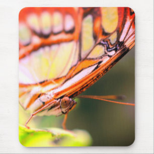 Butterfly Face Nature Mouse Pad