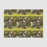 Butterfly Fairy Tissue Paper