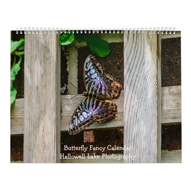 Butterfly Fancy Calendar (Cover)