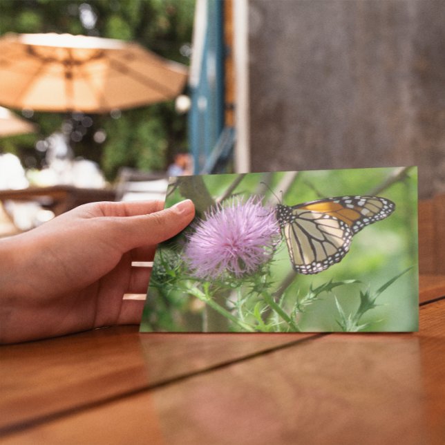 Butterfly feasting on purple thistle postcard (Creator Uploaded)