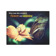 Butterfly feeding on flower