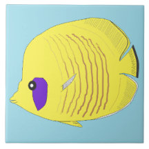 butterfly fish
