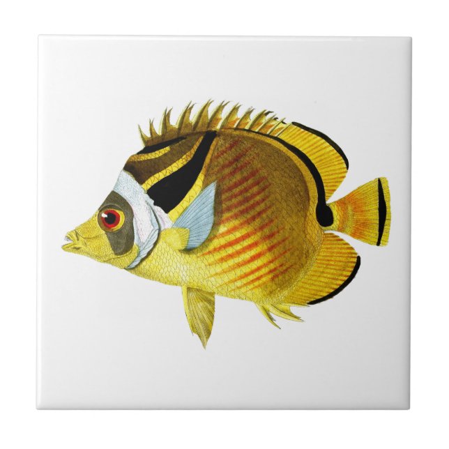Butterfly Fish no.4 Tropical Coastal Home Decor Ceramic Tile (Front)
