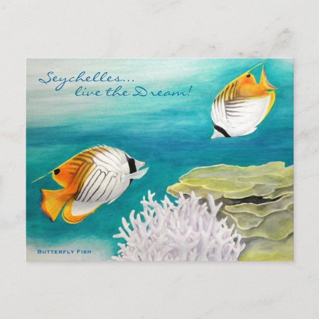 Butterfly fish postcard (Front)
