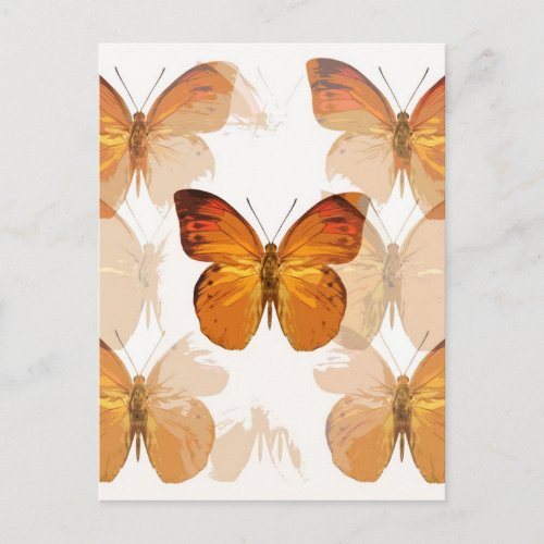 Butterfly Flies Postcard