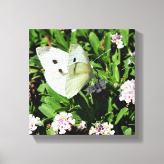 Butterfly Floral  Canvas Print