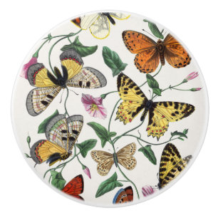 Butterfly Floral Drawer Knob