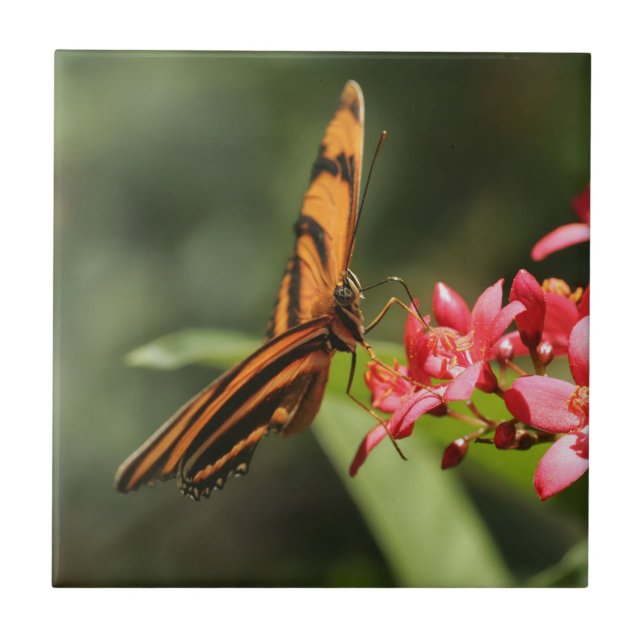 Butterfly Flower Ceramic Tile (Front)