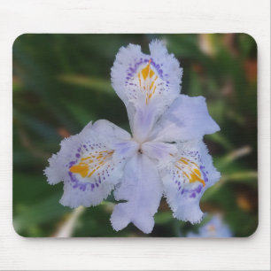 Butterfly Flower Mouse Pad
