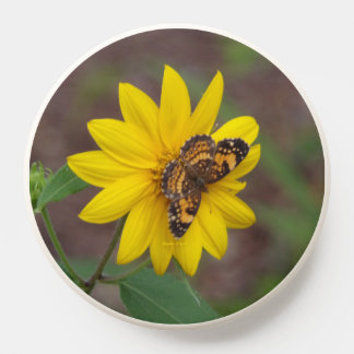 Butterfly Flower Pop Socket