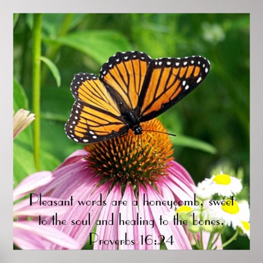 butterfly flower proverbs bible verse reminder poster | Zazzle