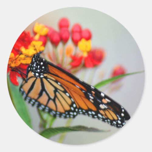 Butterfly  Flower Stickers