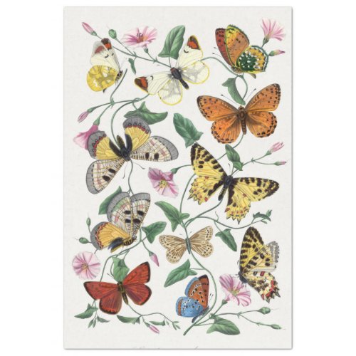 Butterfly Flowers Moths Vintage Rustic Decoupaging Tissue Paper