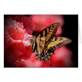 Butterfly & Flowers -Shades of Beige/Pink (Front Horizontal)