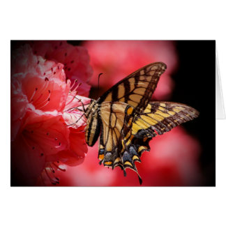 Butterfly & Flowers -Shades of Beige/Pink