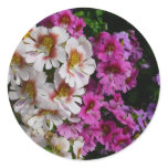 Butterfly Flowers White Pink and Purple Classic Round Sticker