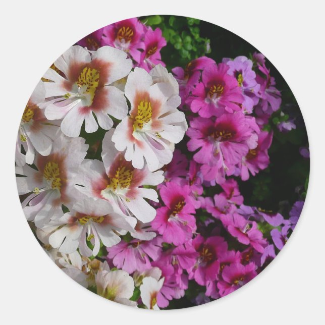 Butterfly Flowers White Pink and Purple Classic Round Sticker (Front)