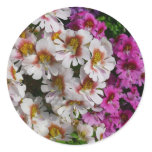 Butterfly Flowers White Pink and Purple Classic Round Sticker