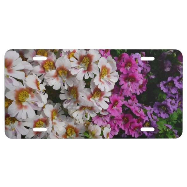 Butterfly Flowers White Pink and Purple License Plate (Front)