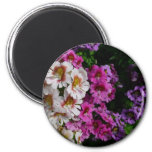 Butterfly Flowers White Pink and Purple Magnet