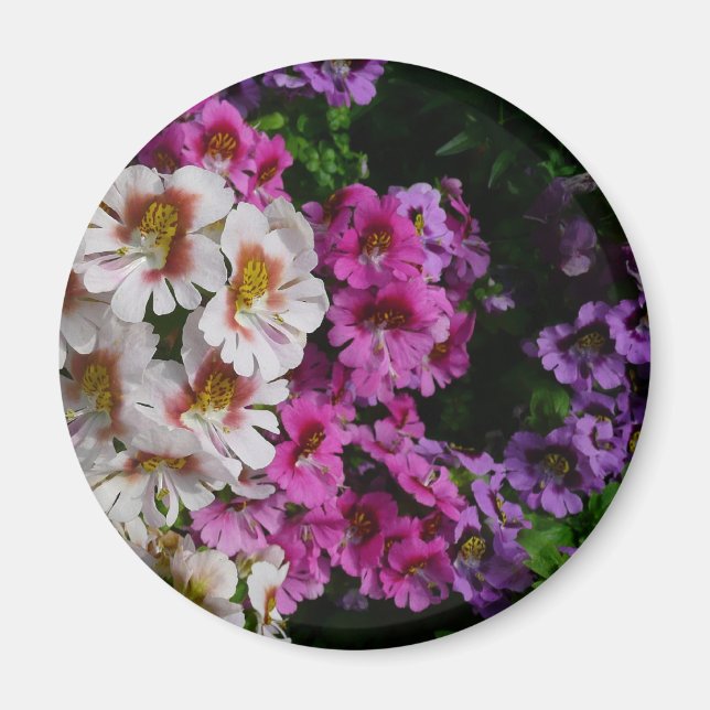 Butterfly Flowers White Pink and Purple Magnet (Front)